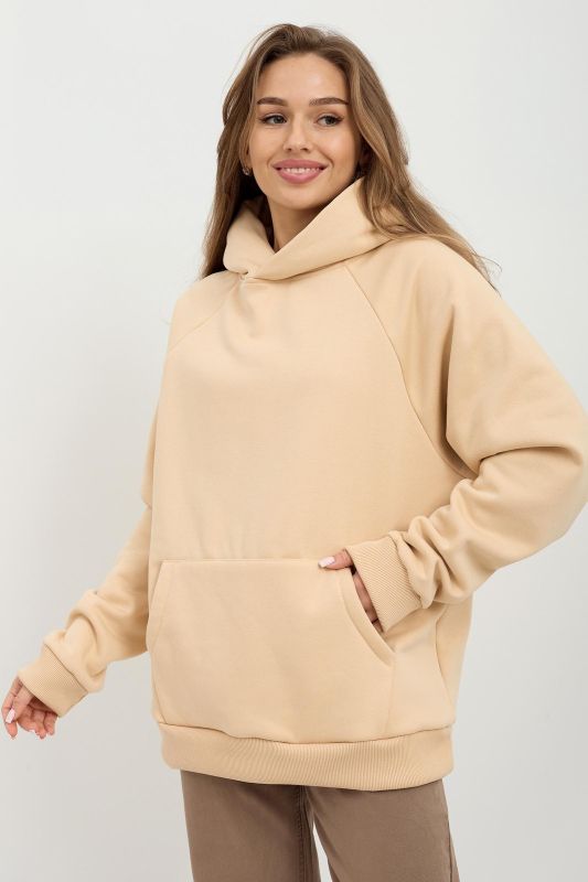 Unisex Hooded Sweatshirt B article 9744